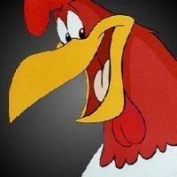 frango