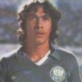 Nelson Verdão