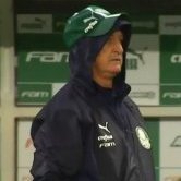 Lucarelli