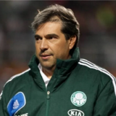 RenPalmeiras