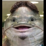 LucasVerdao